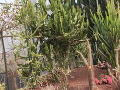 -南通洲际绿博园