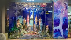点击看大图 -同远QQBABY亲子摄影(北京路店)