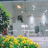 杭州小众私藏|一杯奶茶钱逛9个展馆