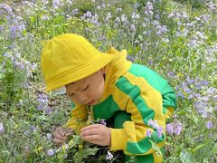 -小脚丫幼儿园(西二旗东一路校区)