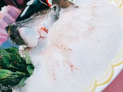 鲷鱼片刺身-行家海鲜火锅酒家(静安寺店)