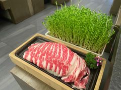 鲜活豌豆苗-湊湊火锅·茶憩(打浦桥日月光店)