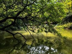 -广州市白云山风景名胜区