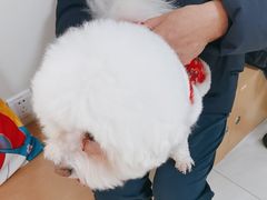 -美联众合动物医院·24h京西诊疗中心