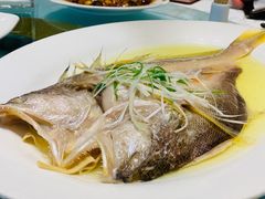 清蒸大黄鱼-上海精菜馆(虎踞关店)