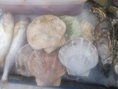 大扇贝.jpg-小铜锣湾海鲜家常菜馆(河西店)