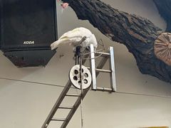 -南戴河国际娱乐中心