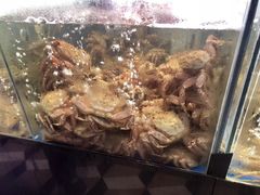 -蟹之国·精品蟹料理(极地店)