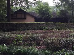 -法云安缦酒店