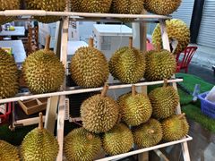 -都念榴莲·城市榴莲