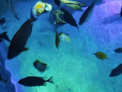 -沈阳海洋探索中心