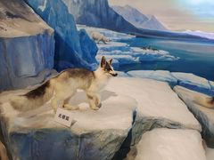 -陕西自然博物馆