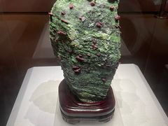 -湖南省地质博物馆