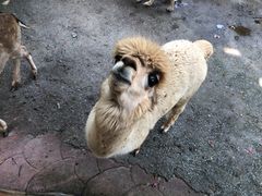 -长鹿旅游休博园