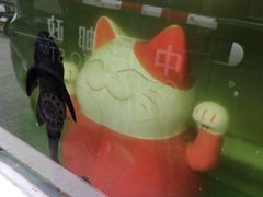 -喵屿·大理花园猫咖