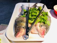 -蜀滋香鲜鱼美蛙火锅(润扬双铁店)