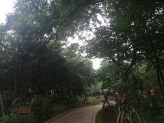 -云南民族大观园