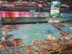 -宝燕海货工场(长江国际店)