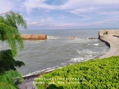 -小麦岛公园