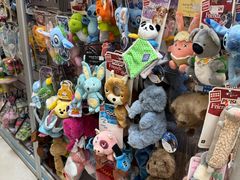 -北京观赏动物医院·24小时大型综合·猫专科·异宠专科