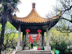 -雨花胜境