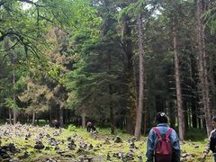 -硗碛藏寨·神木垒景区