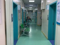 -北京观赏动物医院·24小时大型综合·猫专科·异宠专科