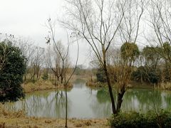-梁鸿国家湿地公园