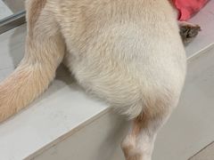 -共舞时光猫咖·狗咖(新街口店)