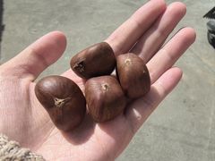 -阿男野栗王(金门路店)