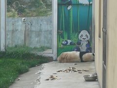 -西安秦岭野生动物园