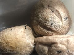 -Tomado绿色烘焙(大尧三路店)