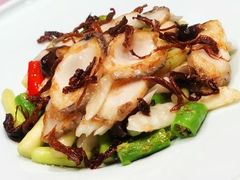 -子福慧(虹桥店)