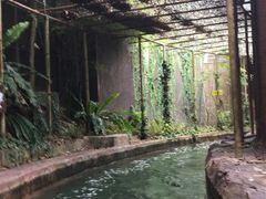 -河川生态园