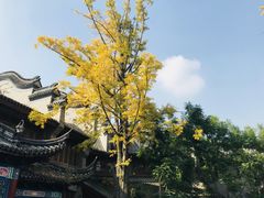-龙潭水乡