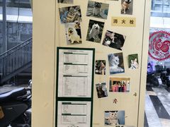 -爱妮康宠物医院·干细胞免疫细胞·肿瘤·心脏(张江店)