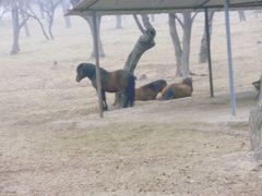 景点-西安秦岭野生动物园