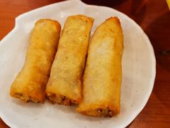 -龙抄手(春熙路总店)