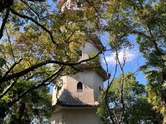 -江心屿景区