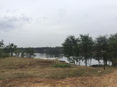 -东海森林温泉度假酒店