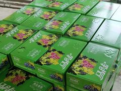 -马陆小张葡萄园农家乐