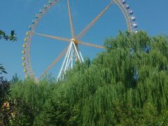 -辛玛王国游乐园