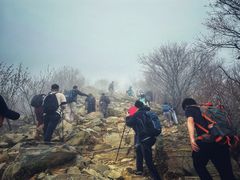 -阳台山自然风景区