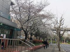-南浦大桥长途旅游客运站