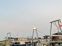-大湾区中央湿地公园-十九涌