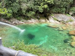 -黄山翡翠谷景区