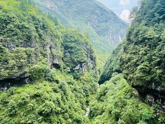 -鹿院坪生态旅游景区