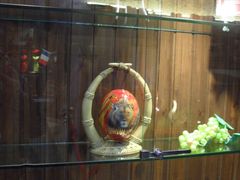 -青岛葡萄酒博物馆