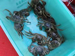 -蟹天蟹地农家菜·阳澄湖大闸蟹(浅水湾店)