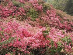 -木兰云雾山